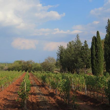 Bed And Breakfast La Grande Lauzade Le Luc Bagian luar foto