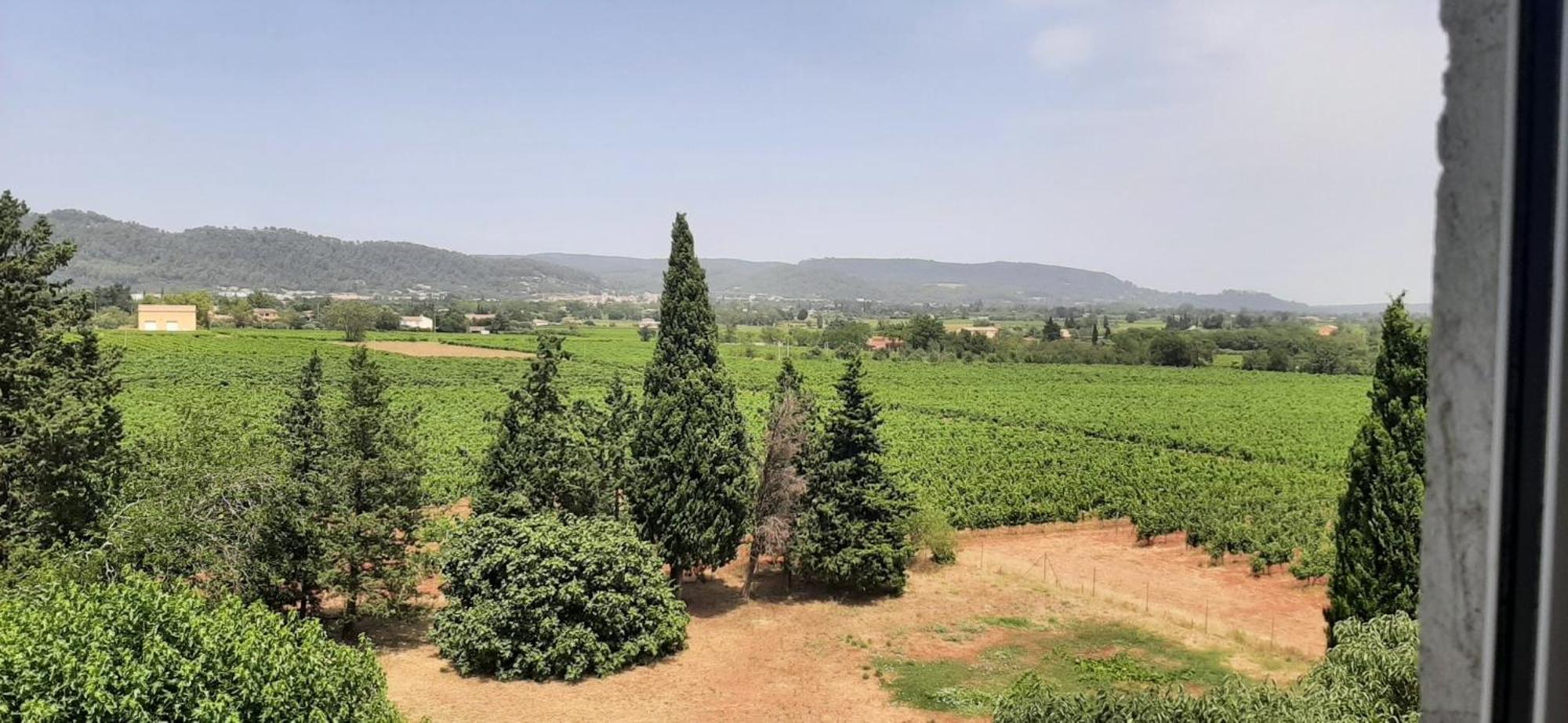 Bed And Breakfast La Grande Lauzade Le Luc Ruang foto