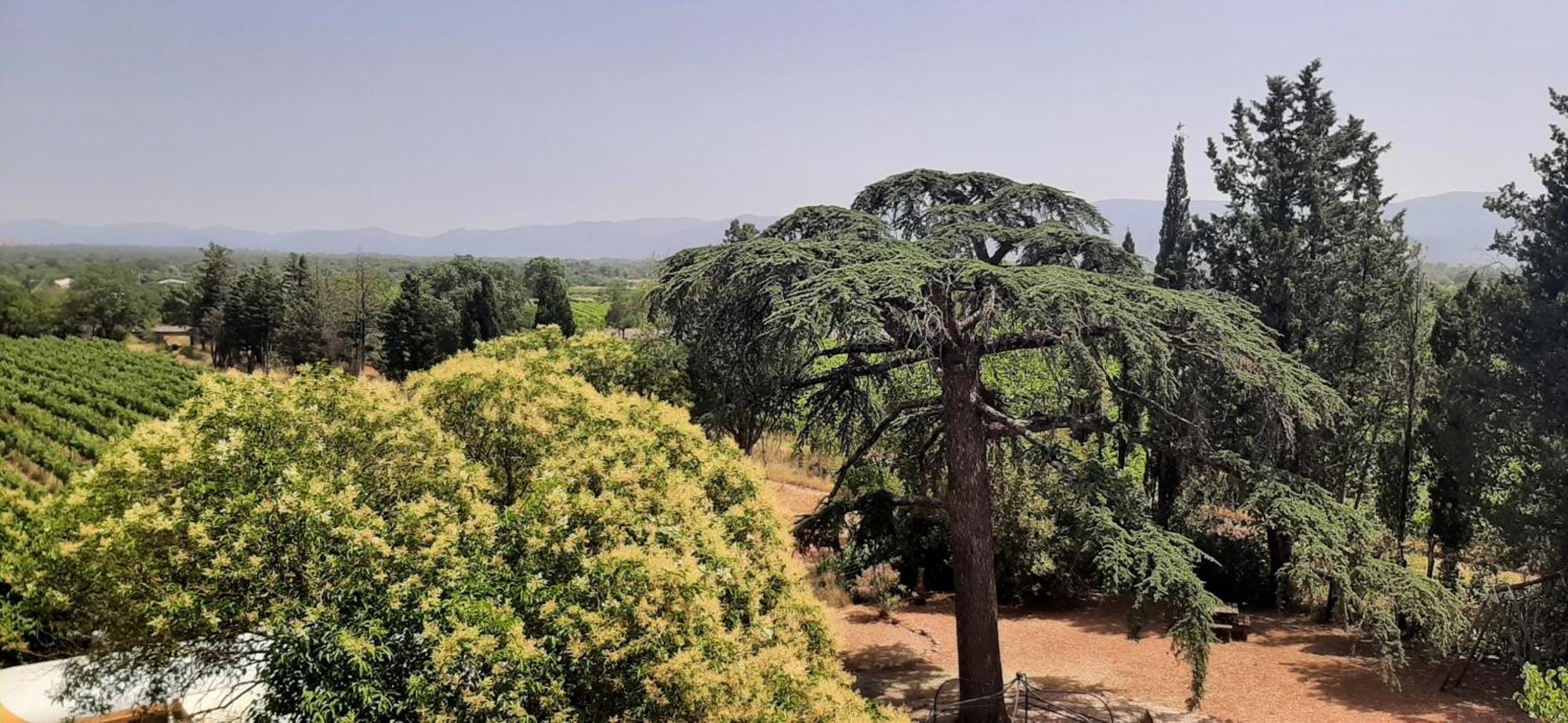 Bed And Breakfast La Grande Lauzade Le Luc Bagian luar foto