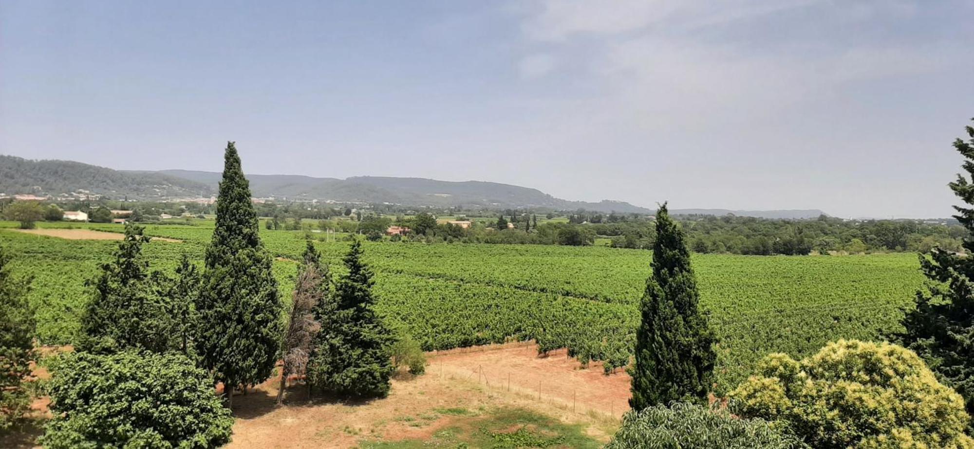 Bed And Breakfast La Grande Lauzade Le Luc Ruang foto