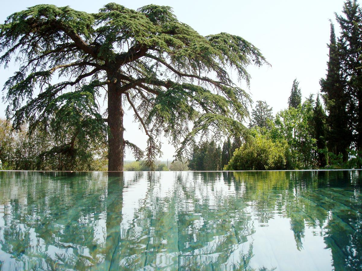 Bed And Breakfast La Grande Lauzade Le Luc Bagian luar foto
